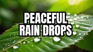 Effortless Healing: The Ultimate Rain Drops Sound Sleep Meditation