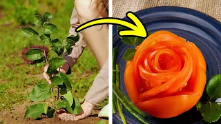 CULTIVE VERDURAS DELICIOSAS EM CASA || APRENDA COMO!