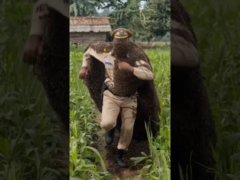 पुलिस और मक्खियां 🏠           #shortvideo