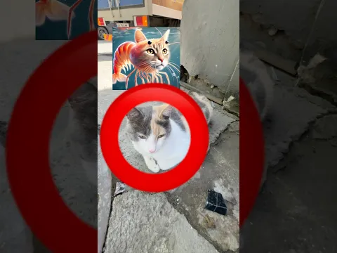 ИТАЛЬЯНСКИЕ МЕМЫ ВЕЗДЕ😱КВИНКА В ШОКЕ😳 #роблокс #игры #смешное #квинка
