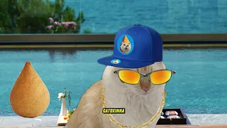 FUNK DO GATO COXINHA- MÚSICA