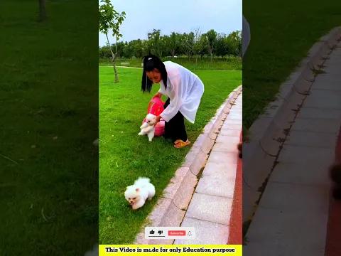 Cute puppy 🥰 and Baby funny🤣 Part 95~mini wood toy-wood working art skill /wood/handcraft /#shorts