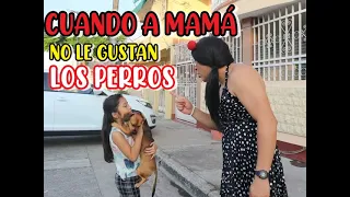 Mami déjame tener un perrito,no..!
