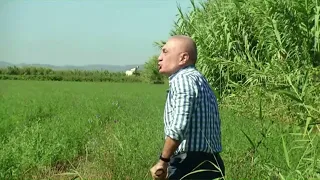 Ilir Meta kap varrene kunder TEC-it ne Roskovec, shemb piketat dhe thote: Kapni armet