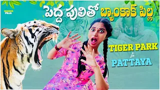 పెద్దపులితో బ్యాంకాక్ పిల్ల ముచ్చట్లు.. || Pattaya Tiger Park || Bangkok Pilla