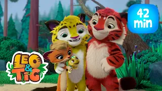 Leo & Tig - Pais adotivos e mais episódios completos  | Desenho infantil 🐯🦁