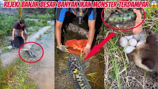 Rejeki Banjir Besar Dapat Banyak Ikan Monster Terdampar, Cek Bubu Di Rawa, dan jumpa telur predator