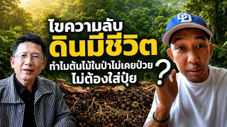 ไขความลับ “ดินมีชีวิต” ทำไมต้นไม้ในป่าไม่เคยป่วย-ไม่ต้องใส่ปุ๋ย