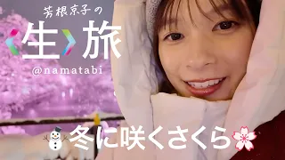 大盛ラーメン、焙煎にりんご皮剥き、冬に咲くさくらは雪の弘前だべ