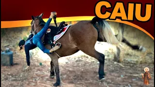 Ele caiu da Pônei