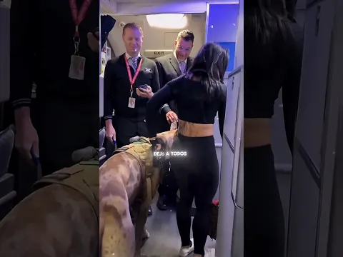 ¡Todos Pensaron Que Su Perro Era Peligroso… Hasta Que Entró al Avión!