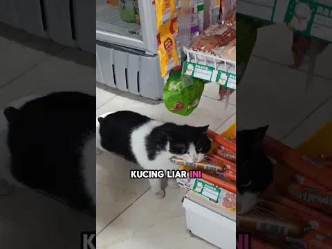Dari pencuri hingga jadi anggota keluarga❤️