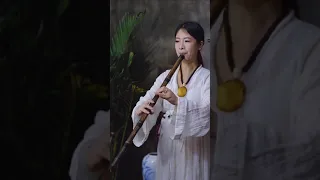 《远方斜阳路》 《天蚕变》箫笛《换到千般恨》伤感插曲，《一声佛号一声心》 Huan Dao Qian Ban Hen 天龙诀 背景音乐 Đổi Lại Một Ngàn Nổi Hận 《梦里情人》