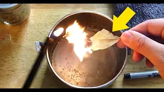 QUEMA UNA HOJA DE LAUREL en la casa y mira lo que sucede