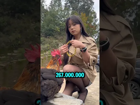 Ayam Kesayangan Yapi Dipisahkan oleh Kuali‼️#viralshort #viralvideo #viralreels #viraltrending