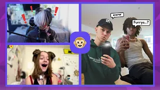 2 Pups VS Monkey App!!