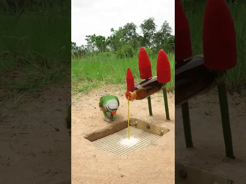 SMART ideas with underground parrot trap #parrottrap #shorts