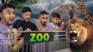 Ab Kya Hoga Zoo Mein😱