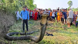 🐍 😱 King Cobra Snake Rescue in Nepal ! सबै भन्दा ठूलो र खतरनाक किङ् कोब्रा साँप भेटियो आज!