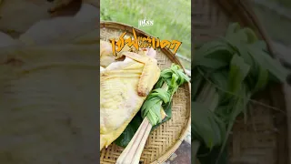 ptss เชฟเเดนปลาเเดก เมนู "ไก่บ้านนึ่งสมุนไพร "