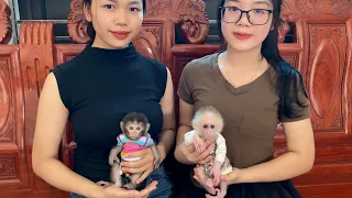 Monkey Pika meets a new friend and has a gift for monkey Mimi