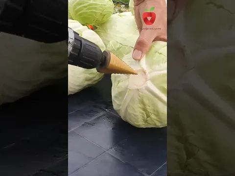 Trik za brzo kiseljenje kupusa