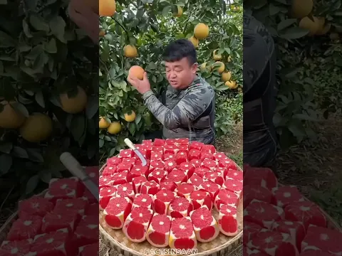 China Fruits Is So Delicious 😋 Rare Fruits😳#shorts