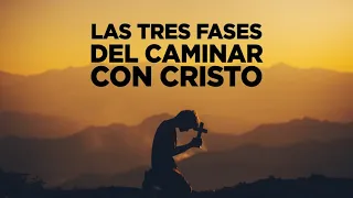 Niégate a ti mismo, toma tu cruz y sigue a Cristo