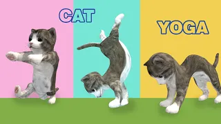 Cat yoga and workout