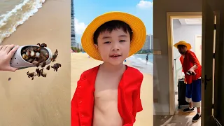 误会路飞了#海贼王 #路飞