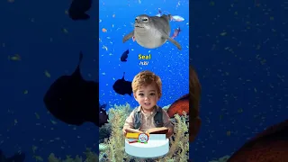 Ocean world -marine creatures ! #shorts