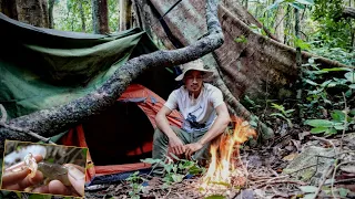 បោះតង់ជីកត្បូងលើកំពូលភ្នំស្រួច camping adventure Vlog Eps 40 pheakdey official