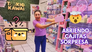 Cajitas Sorpresa Kawaii 🤯🙀 No creerás lo que nos salió 📦✨ Las más virales de TikTok 😳