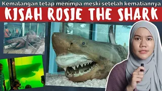 SENDIRIAN DI TEMPAT TERBENGKALAI, DITUDUH, DAN HAMPIR DIHANCURKAN!! 💔