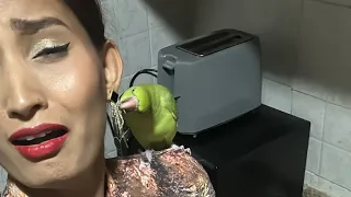 Anju Ka Parrot Kinnu 🦜  is live!