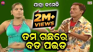 TAMA GACHHA RE BADA PAIDA | BEST JATRA COMEDY | EASTERN OPERA