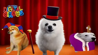 Running The Show but DOGGOS (Caine's Song)