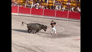 CONCURSO DE DE TOROS MAESTROS DE LA CALLE-CASTELLON 2022