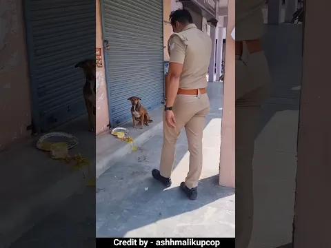 पुलिस वाले का खाना कुत्ता खा गया 😲 #shorts #shortvideo  #dogs #doglover