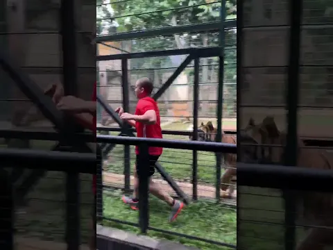 HARIMAU ESHAN-JINORA TAKUT SAMA CELLOSZXZ !?