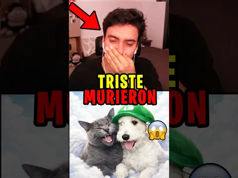 ¡EL ABRAM LLORA!😱│EL SIMIO ESTÁ DESTROZADO