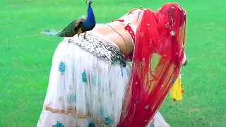 ऐसा राजस्थानी डांस बहुत कम देखने को मिलता है ,Latset New Rajasthani Dance - Sharwan Singh rawat
