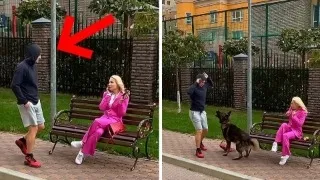Funniest Animal Moments of the Month! 😂 You’ll Cry Laughing!