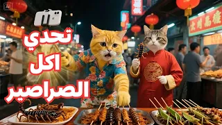 القط مياو في الصين دخل في تحدي اكل الصراصير فهل هيقدر 