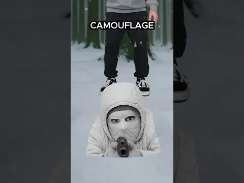 The Deadliest Sniper In History