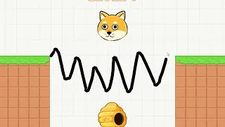 Save The Doge!