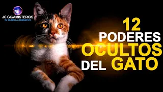 10 PODERES OCULTOS de los GATOS
