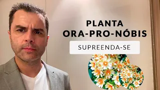 Planta Ora-Pro-Nóbis! Acrescente na sua Dieta.