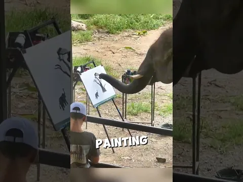 This elephant was bullied so he painted his feelings 🥺❤️ #shorts