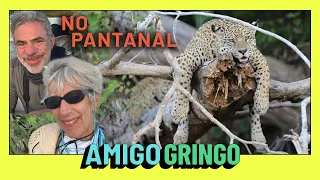 MÃE GRINGA NO PANTANAL!